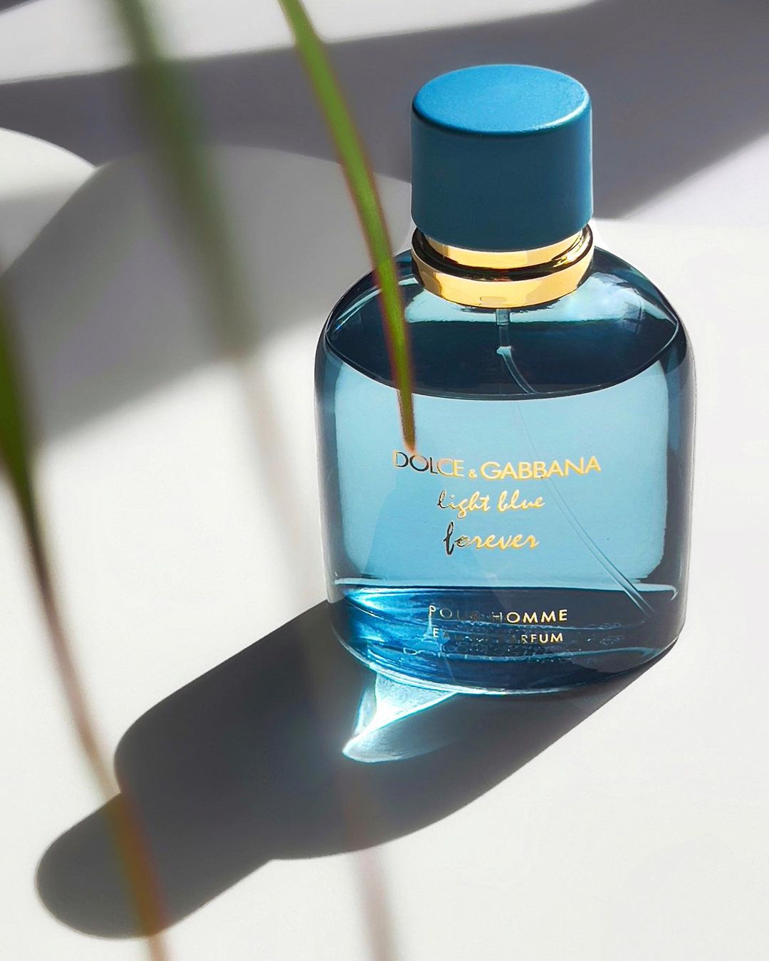 Dolce&Gabbana Light Blue Forever pour Homme