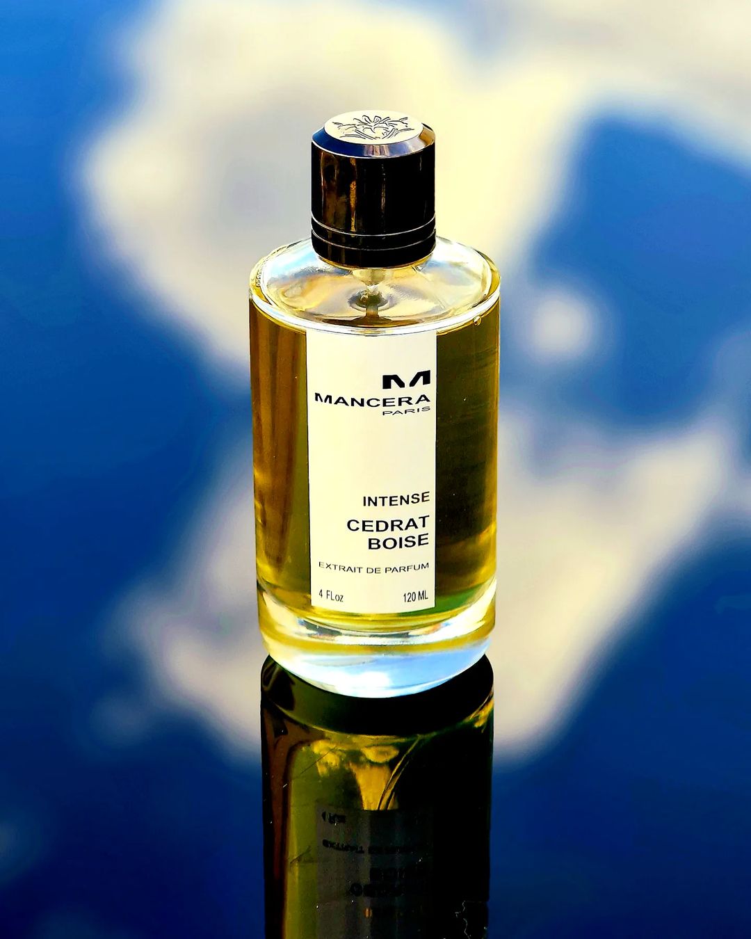 Mancera Intense Cedrat Boise