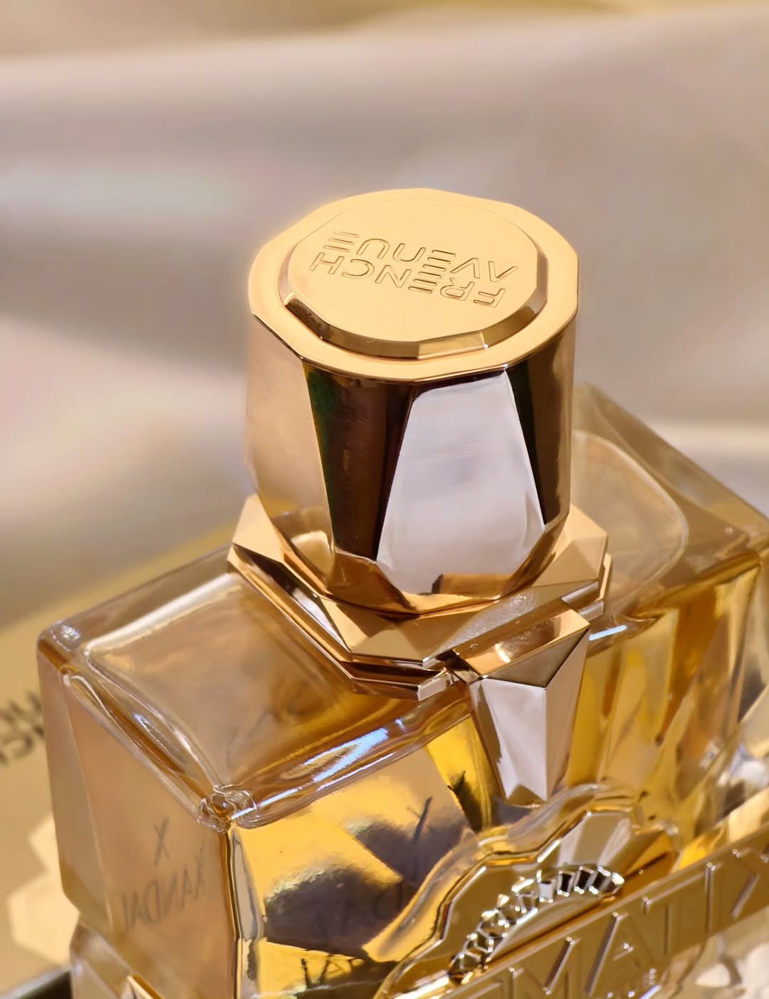 Aromatix X French Avenue X Xandal