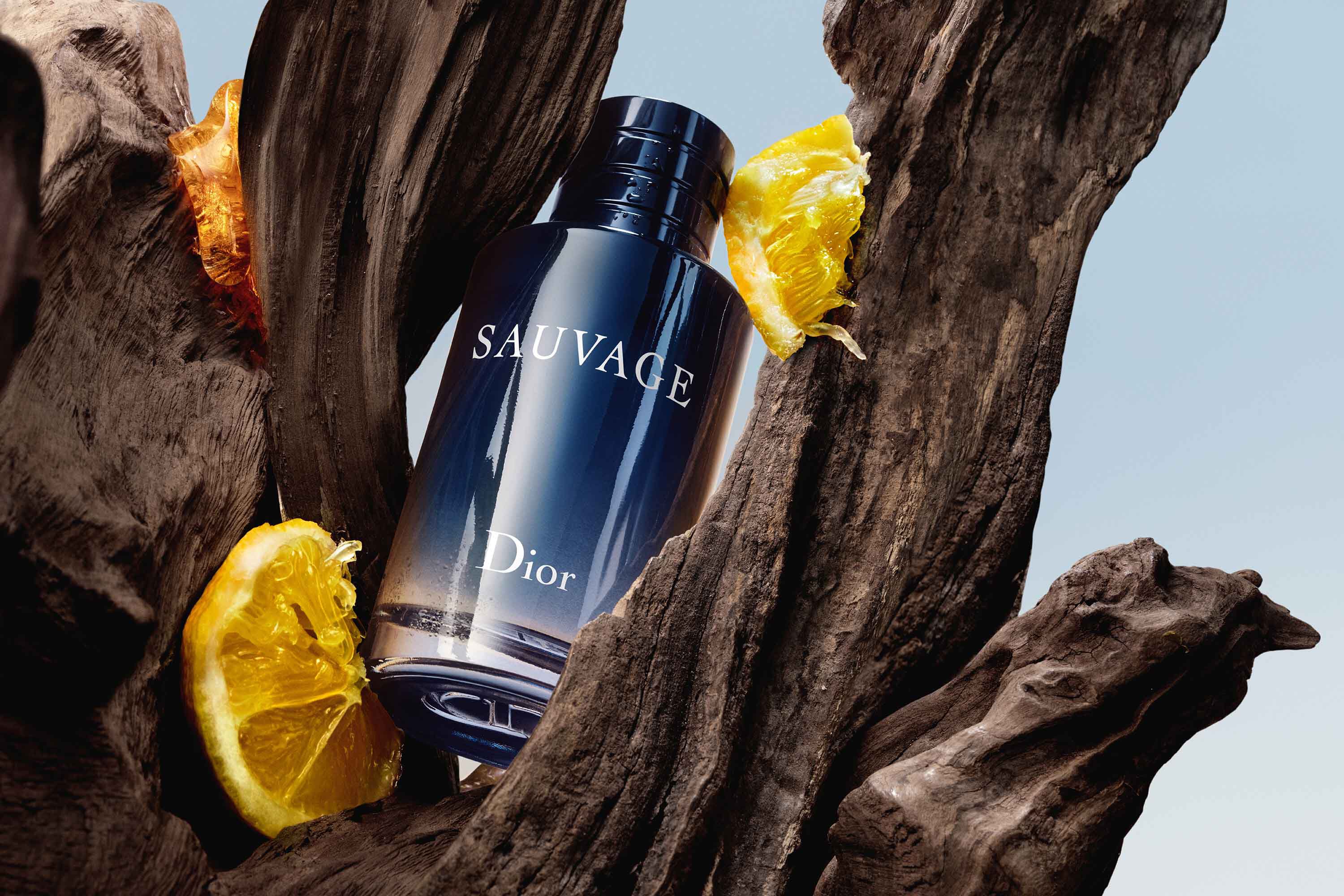 Dior Sauvage Eau de Toilette