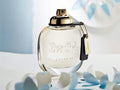 Coach the Fragrance