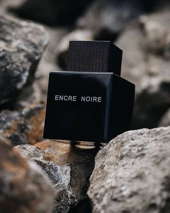 Lalique Encre Noire