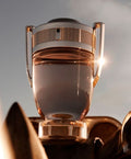 Paco Rabanne Invictus