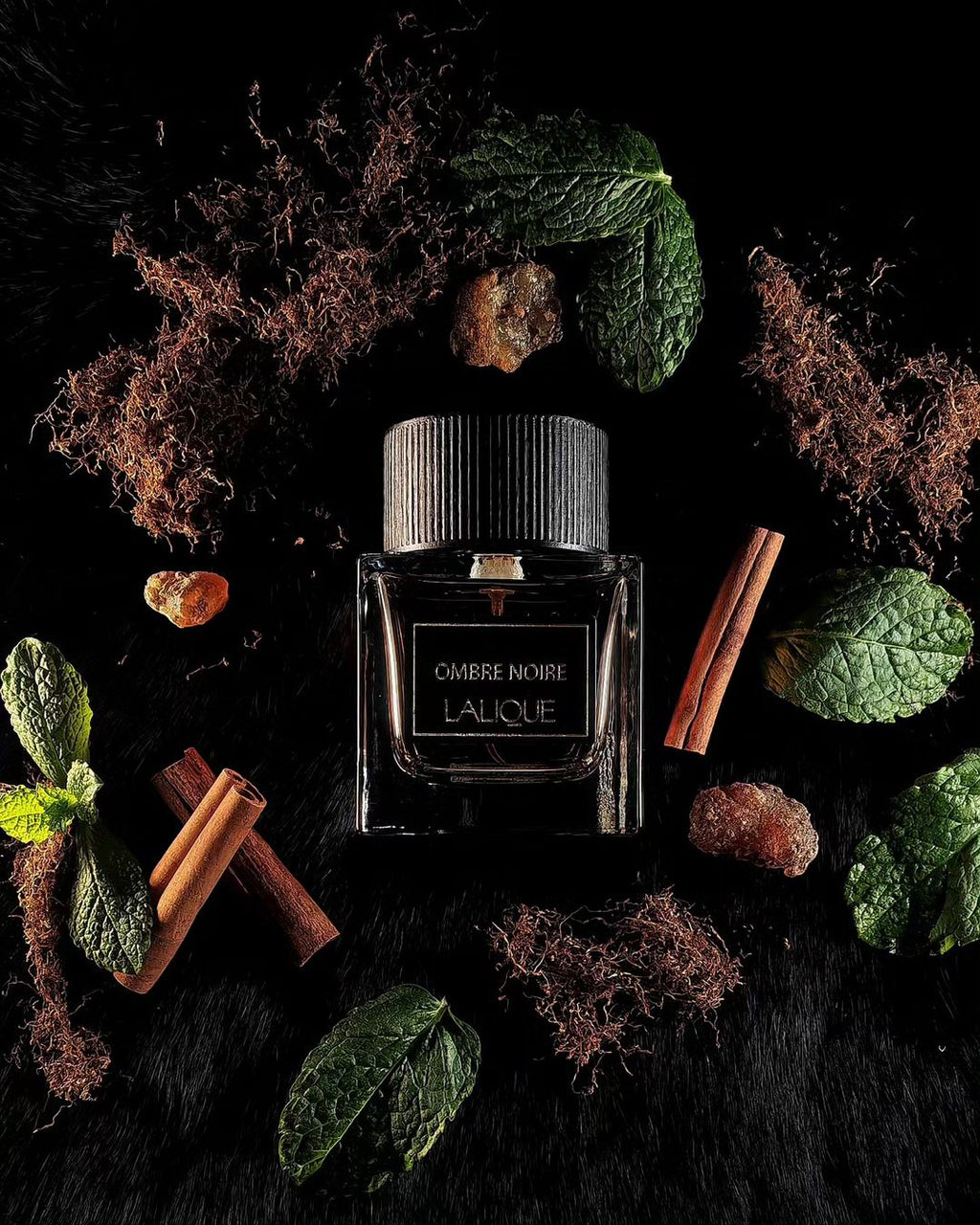 Lalique Ombre Noire