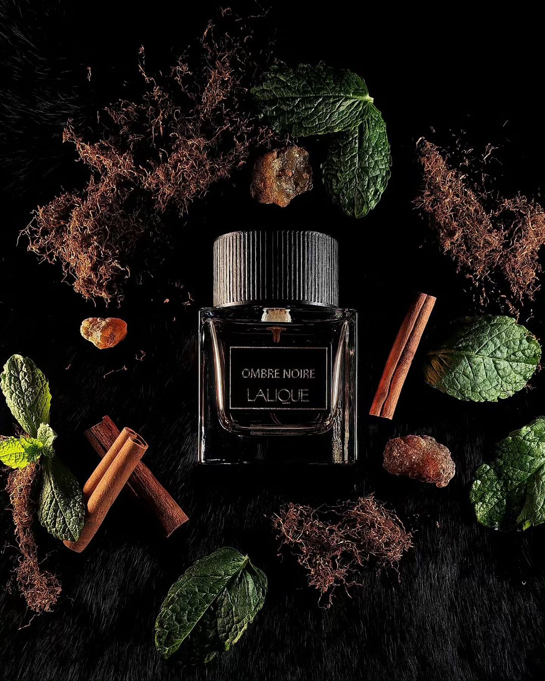 Lalique Ombre Noire