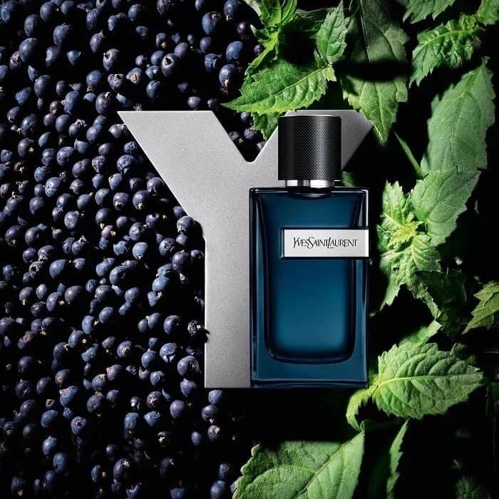 YSL Yves Saint Laurent Y Eau de Parfum Intense
